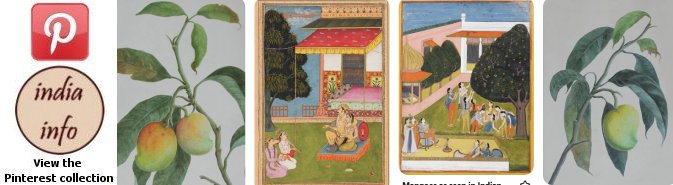 Mangoes in minatures - Pinterest collection